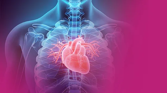 Bradicardia Patients Abnormal Heartbeat bradycardia1 1