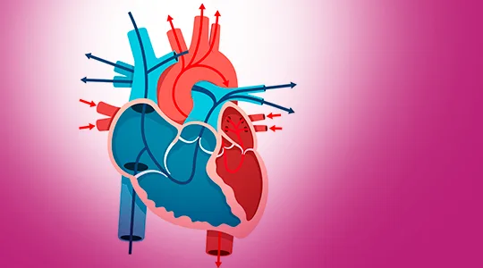 Taquicardia Patients Abnormal Heartbeat Tachycardia1 1
