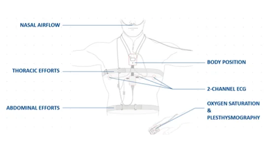 SPIDERSAS Polygraph 1